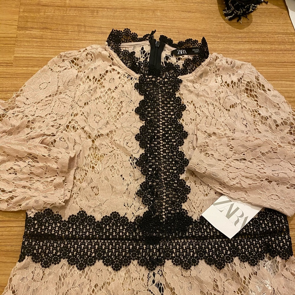 ZARA Dusty Pink Black Structured Contrast Lace Top